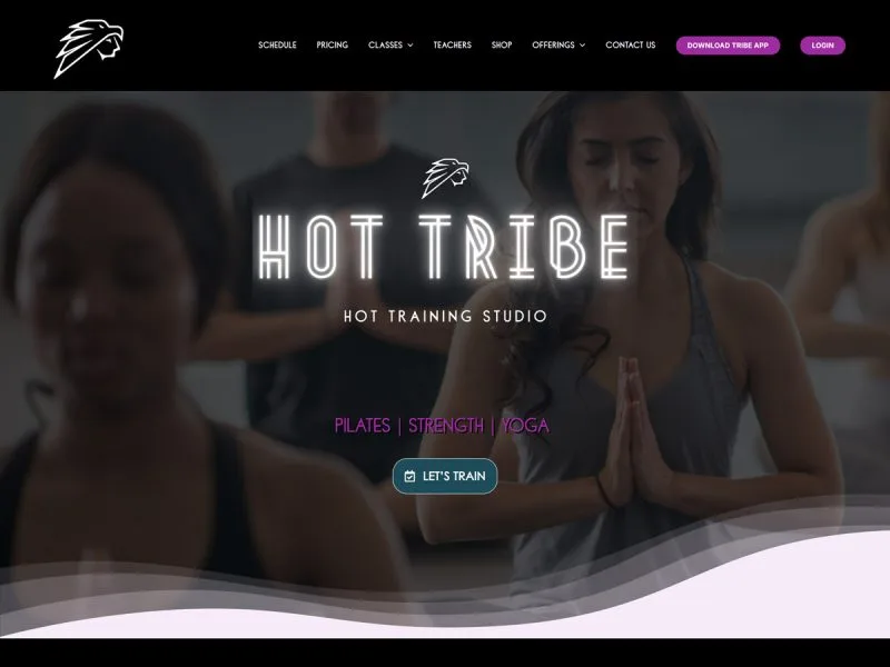 Hot Tribe Website. Web design by evince