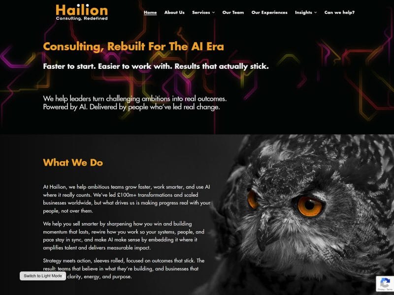 Hailion.ai. Web design by evince